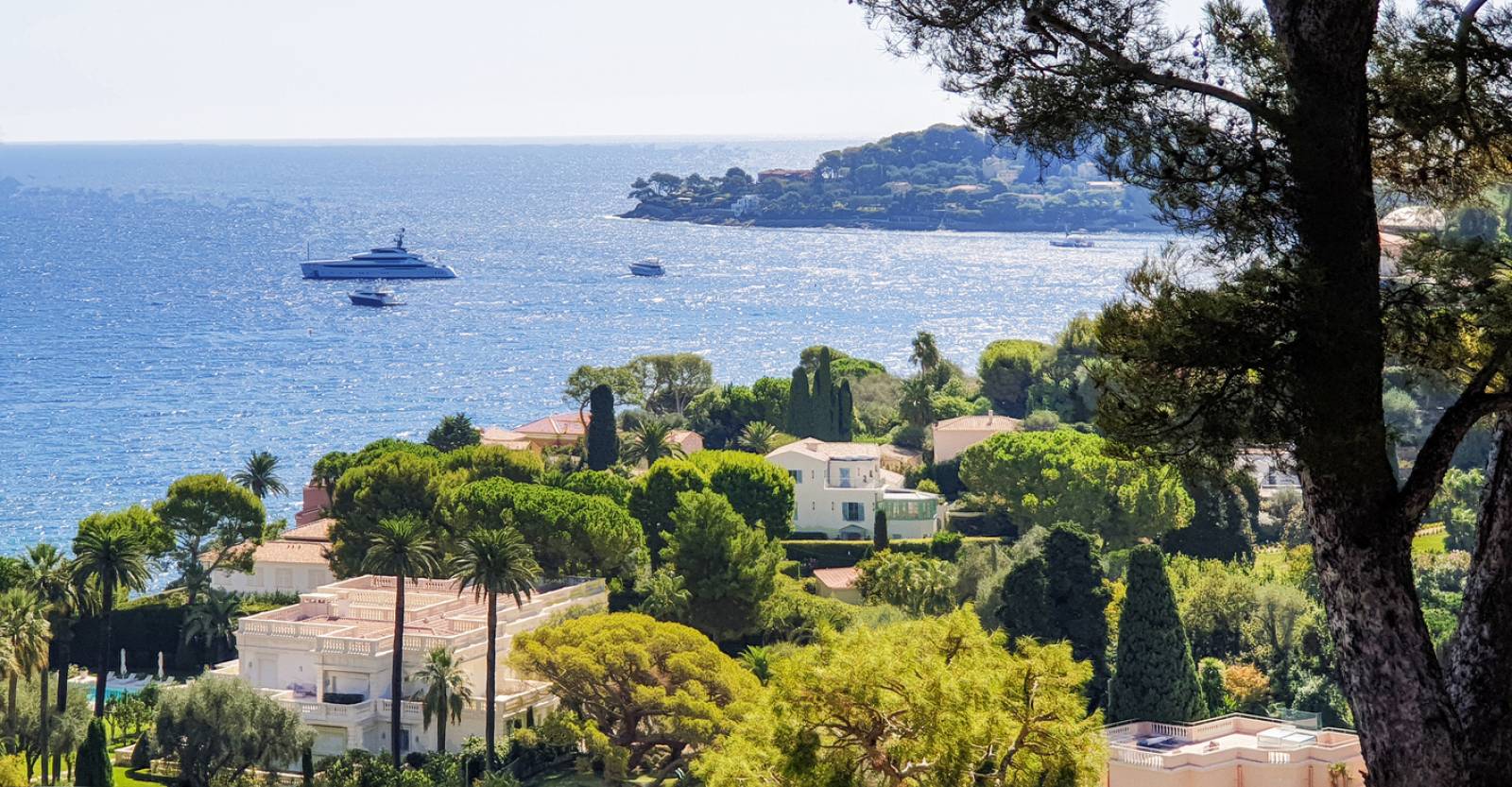 SCI sous location meublée à Antibes — avant toute vente immobilière, clarifier le régime fiscal de votre SCI est indispensable pour éviter une imposition de la plus-value bien plus lourde que prévu.